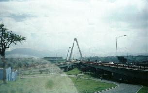 Vista del viaducto desde Pereira